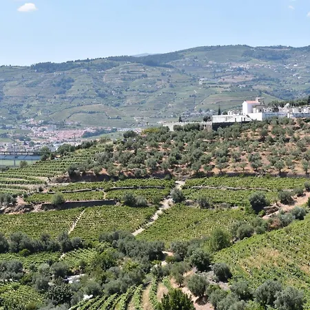 Feel Discovery Flat Douro Las House شقة Peso da Régua